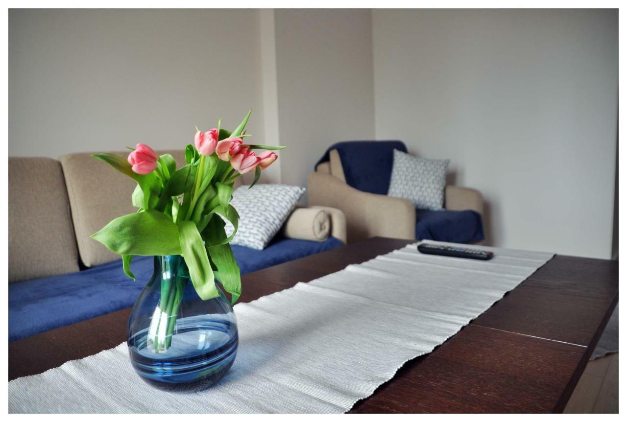 Apartmán Color 24 Premium Stalowa Wola Exteriér fotografie